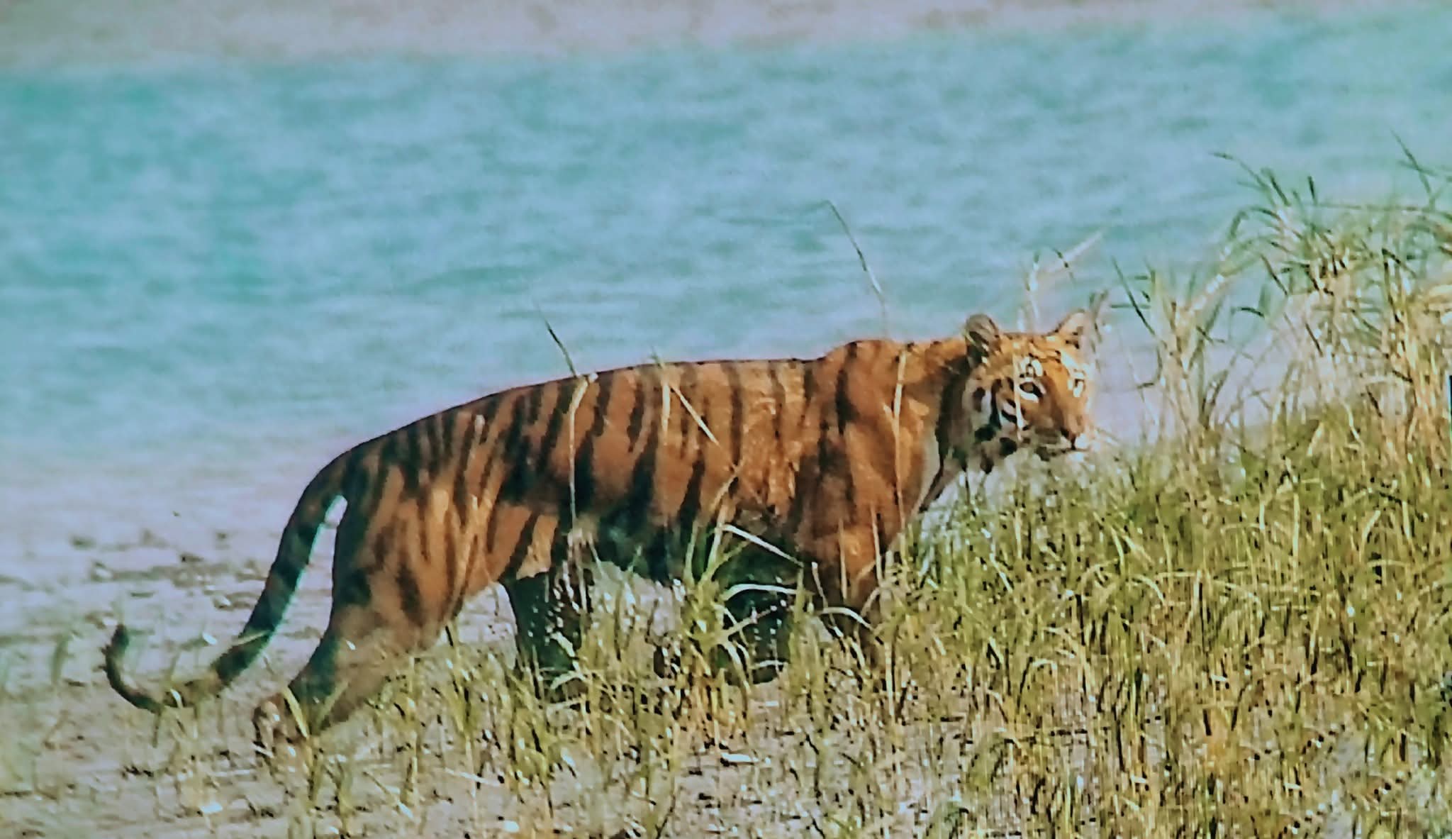 images/WhatsApp Image 2025-12-02 at 7.40.06 PM.jpeg